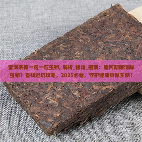 普洱茶有一粒一粒虫卵