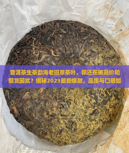 普洱茶生茶勐海老班章茶叶