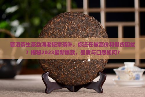 普洱茶生茶勐海老班章茶叶