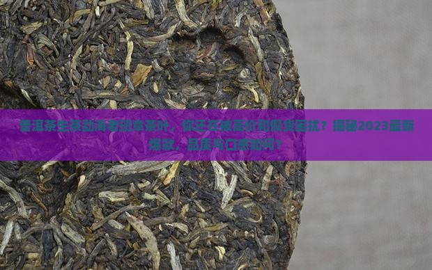 普洱茶生茶勐海老班章茶叶