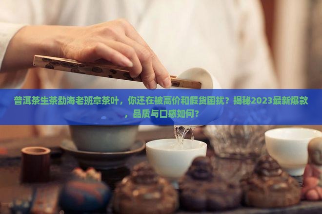普洱茶生茶勐海老班章茶叶