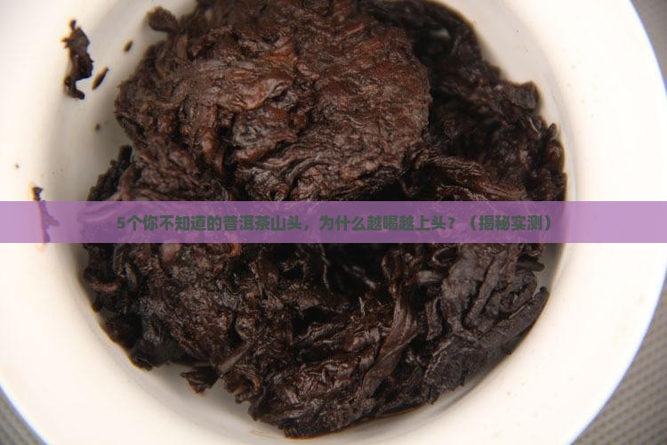 普洱茶知名山头
