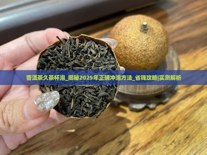 普洱茶久茶杯泡