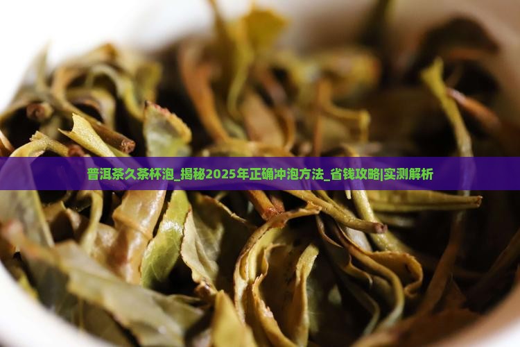 普洱茶久茶杯泡