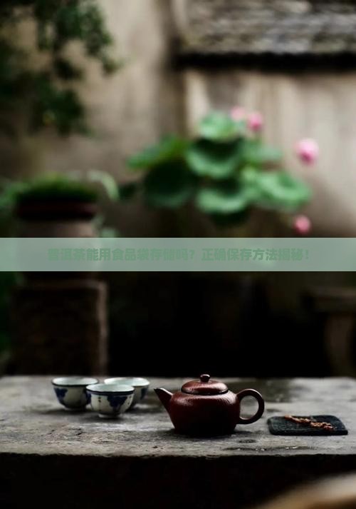 普洱茶能用食品袋存储吗