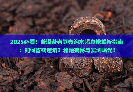 如何利用普洱茶老笋壳泡水喝