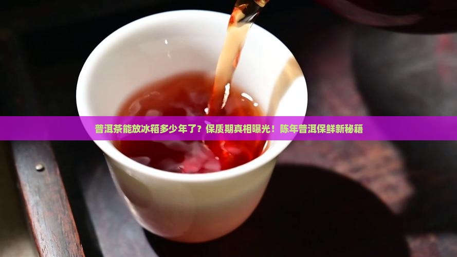 普洱茶能放冰箱多少年了