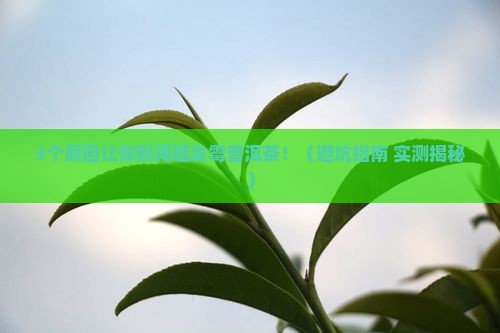 普洱茶发霉可以晒吗