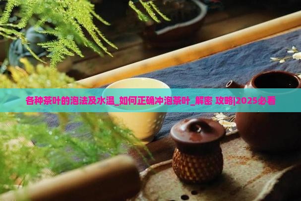 各种茶叶的泡法及水温