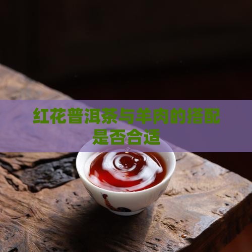 红花普洱茶羊肉能一起吃吗