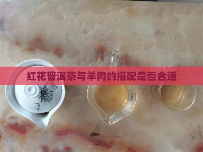 红花普洱茶羊肉能一起吃吗