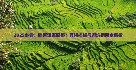 喝普洱茶腰有点疼怎么回事