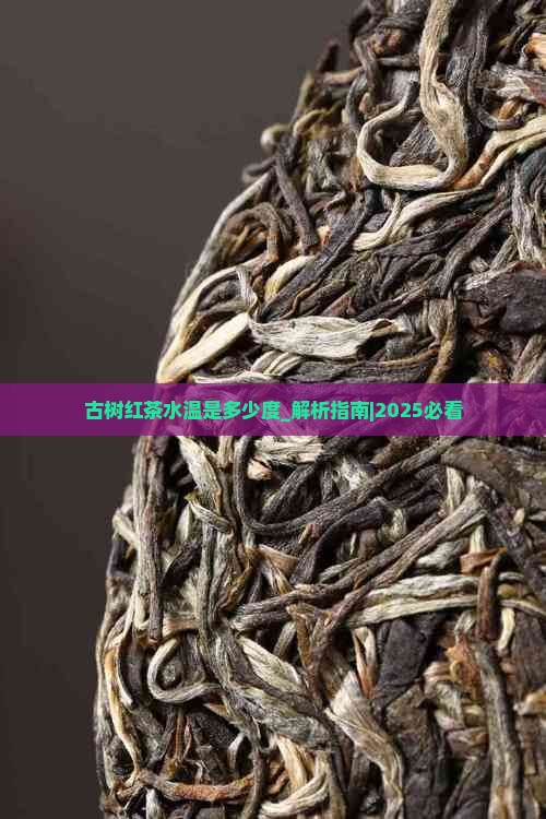 古树红茶水温是多少度