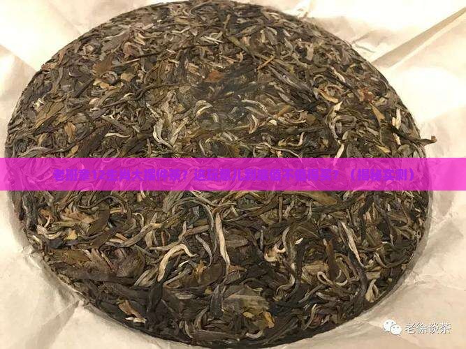 老班章12生肖大摆件茶