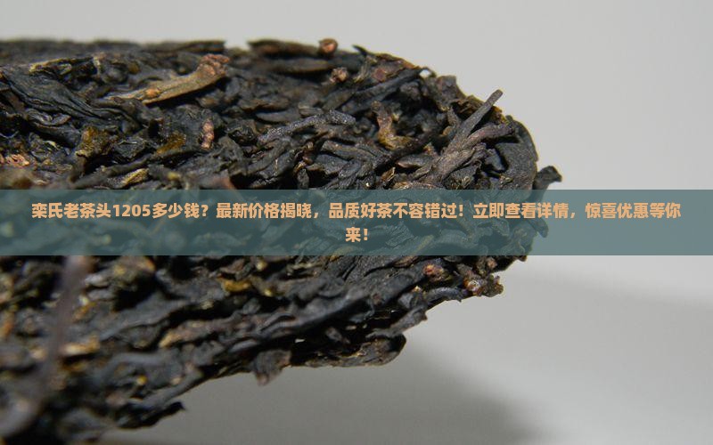 栾氏老茶头1205多少钱