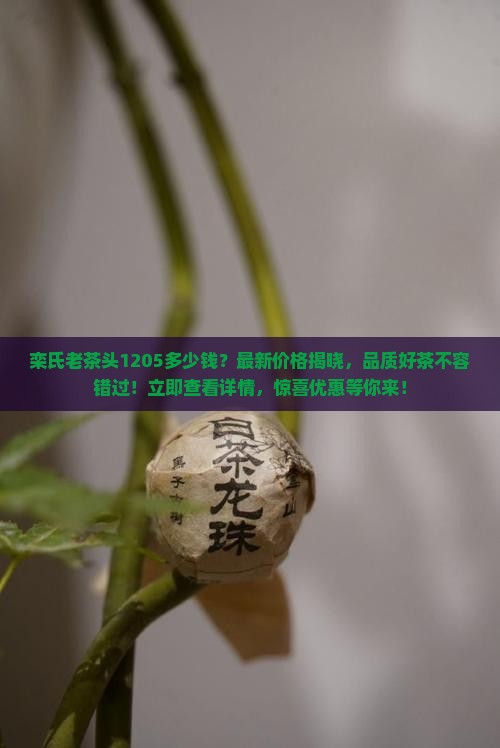 栾氏老茶头1205多少钱