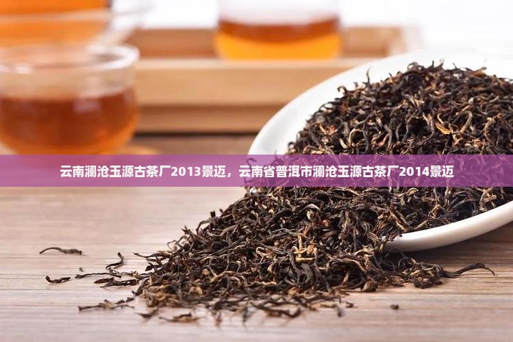 云南澜沧玉源古茶厂2013景迈