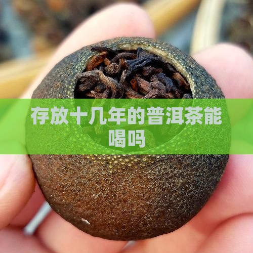 存放十几年的普洱茶能喝吗