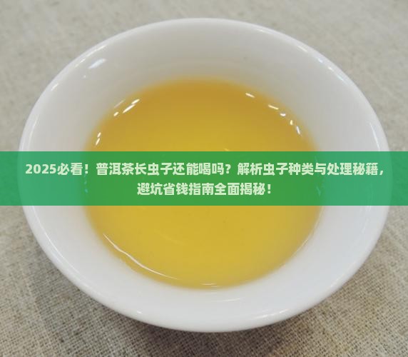 普洱茶长虫子可以喝
