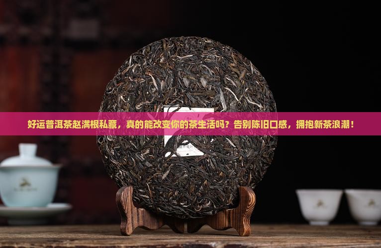好运普洱茶赵满根私藏