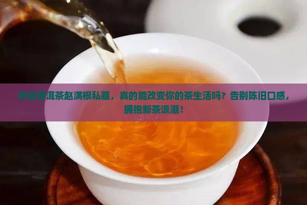 好运普洱茶赵满根私藏