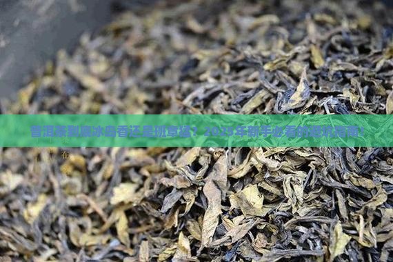 普洱茶是冰岛好还是班章好