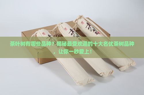 茶叶树有哪些品种