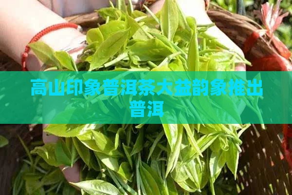 高山印象普洱茶