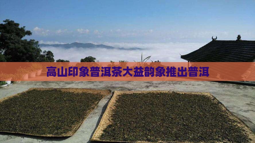 高山印象普洱茶