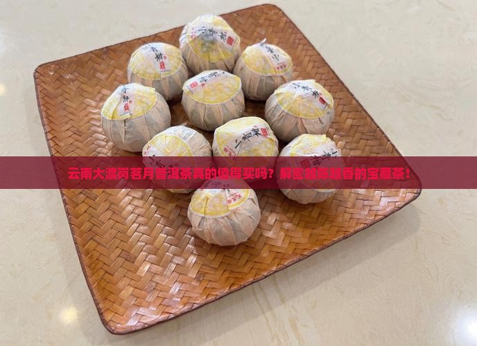 云南大渡岗茗月普洱茶