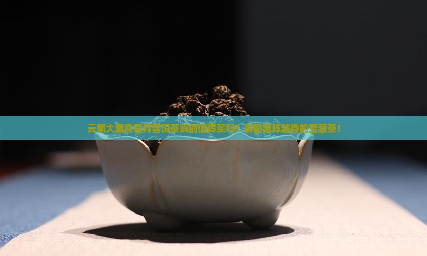 云南大渡岗茗月普洱茶