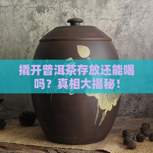 撬开普洱茶存放还能喝吗