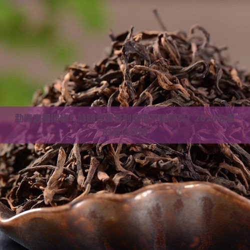 咏晴普洱茶直播勐海