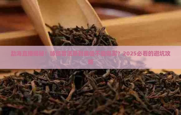 咏晴普洱茶直播勐海