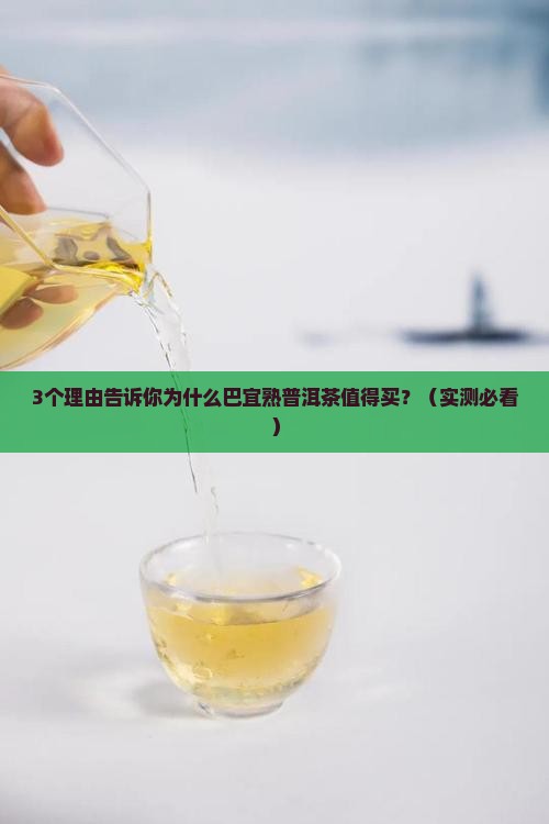 巴宜熟普洱茶品牌
