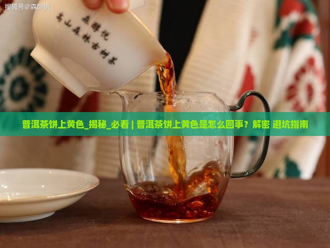 普洱茶饼上黄色