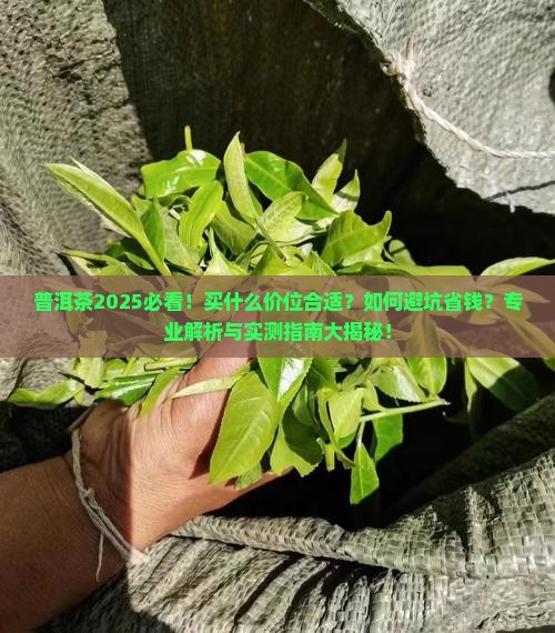 普洱茶买什么价位合适