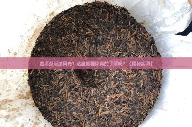 普洱茶版纳风光