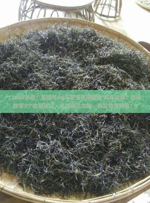 龙园号06年普洱茶限量版