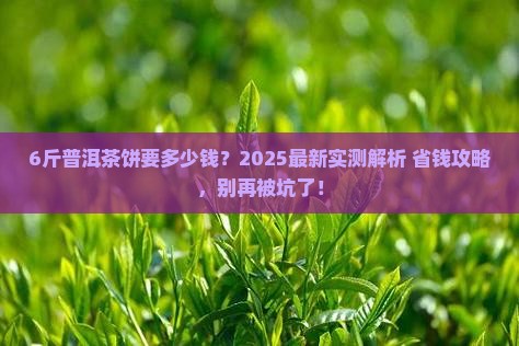 6斤以上的普洱茶饼多少钱