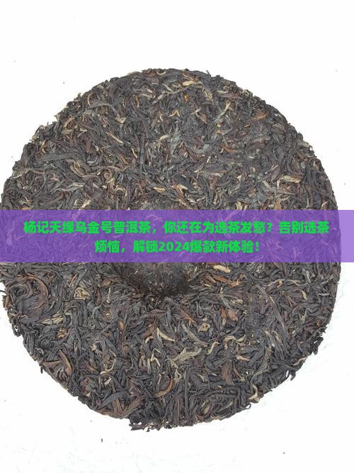 杨记天缘乌金号普洱茶