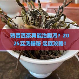 熟普洱茶可以止泻么