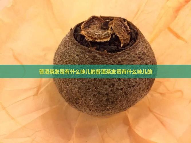 普洱茶发霉有什么味儿的