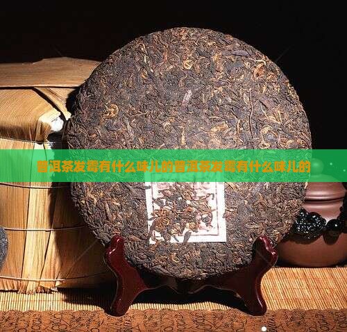 普洱茶发霉有什么味儿的