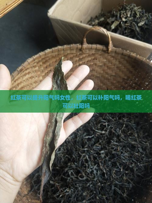 红茶可以提升阳气吗