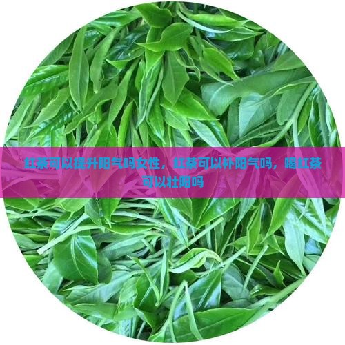 红茶可以提升阳气吗