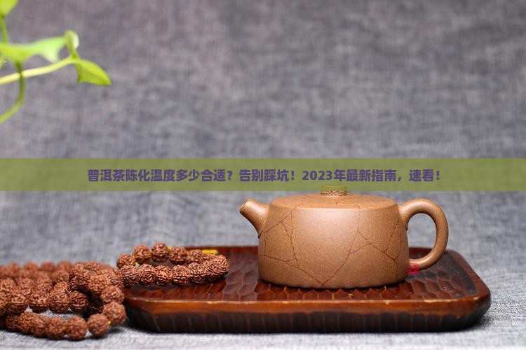 普洱茶陈化温度多少合适