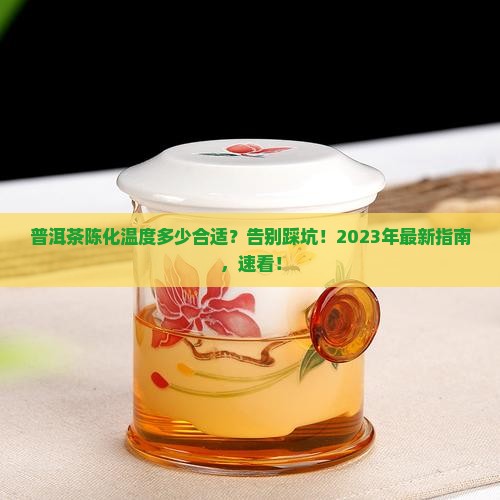 普洱茶陈化温度多少合适