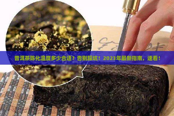 普洱茶陈化温度多少合适