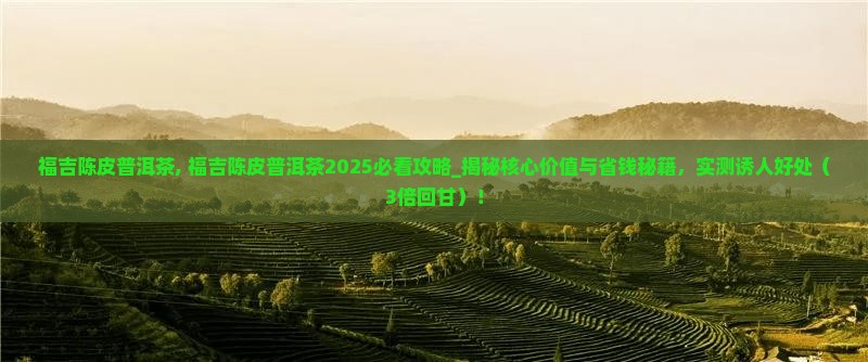 福吉陈皮普洱茶 福吉陈皮普洱茶